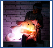 Carregar imagem no visualizador da galeria, Cachorro De Pelúcia Iluminado - Calmante Infantil
