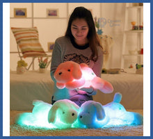 Carregar imagem no visualizador da galeria, Cachorro De Pelúcia Iluminado - Calmante Infantil
