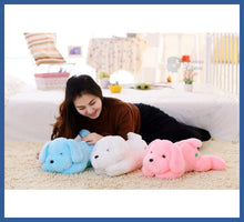 Carregar imagem no visualizador da galeria, Cachorro De Pelúcia Iluminado - Calmante Infantil