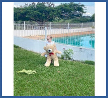 Carregar imagem no visualizador da galeria, Ursinho Gigante - Entrega Rápida - urso de pelúcia