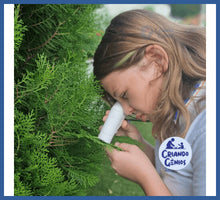 Carregar imagem no visualizador da galeria, Meu Primeiro Microscópio -grátis Suporte De Celular!