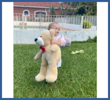 Carregar imagem no visualizador da galeria, Ursinho Gigante - Entrega Rápida - urso de pelúcia