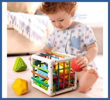 Carregar imagem no visualizador da galeria, Blocos Montessori: Desenvolvimento Infantil Em Forma De
