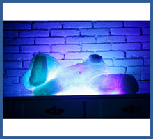 Carregar imagem no visualizador da galeria, Cachorro De Pelúcia Iluminado - Calmante Infantil
