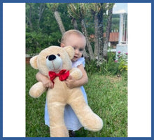 Carregar imagem no visualizador da galeria, Ursinho Gigante - Entrega Rápida - urso de pelúcia
