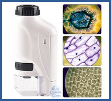 Carregar imagem no visualizador da galeria, Meu Primeiro Microscópio -grátis Suporte De Celular!
