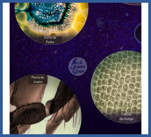 Carregar imagem no visualizador da galeria, Meu Primeiro Microscópio -grátis Suporte De Celular!
