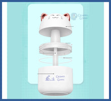 Carregar imagem no visualizador da galeria, Nano Umidificador Ultrassônico Kawaii Névoa e Luz
