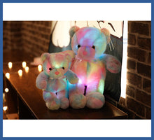 Carregar imagem no visualizador da galeria, Urso Iluminado Colorido - urso iluminado Urso Iluminado
